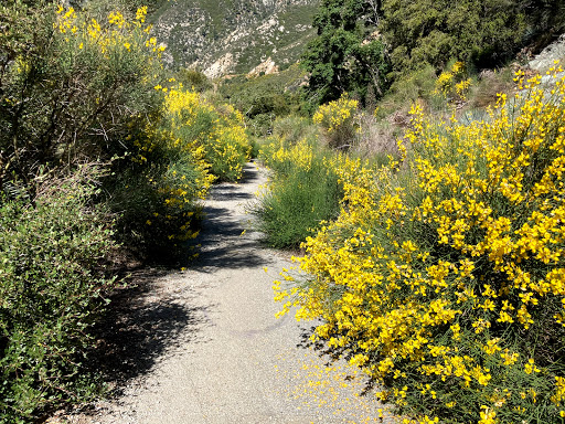 Barret Stoddard hiking trail