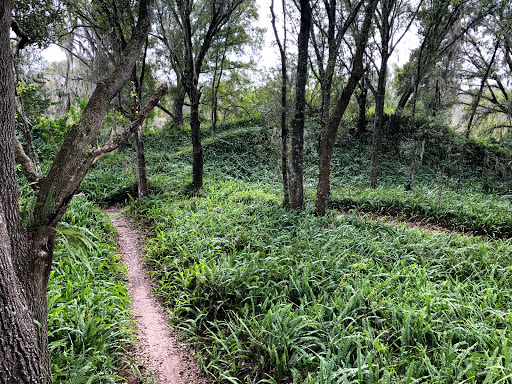 Balm Boyette Scrub Preserve