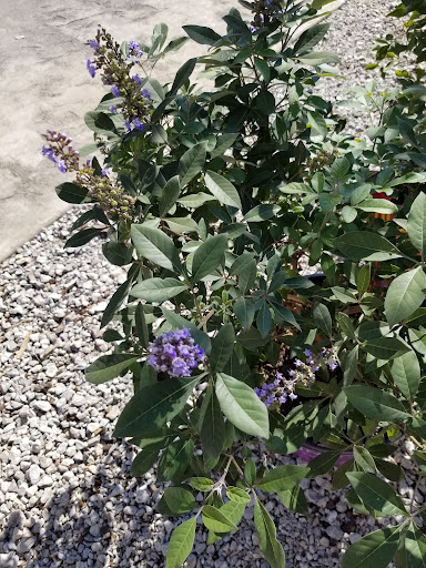 Plant Nursery «Guerin Nursery and Boutique», reviews and photos, 1418 Fall Creek Hwy, Granbury, TX 76049, USA