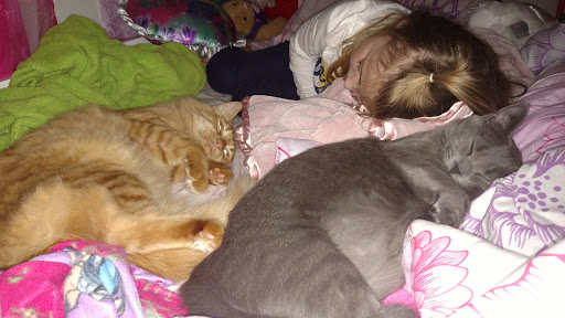 Pet Supply Store «PetSmart», reviews and photos, 2028 Miamisburg Centerville Rd, Dayton, OH 45459, USA