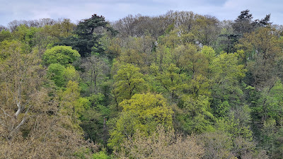 Bois de la Garenne à Le Plessis-Robinson