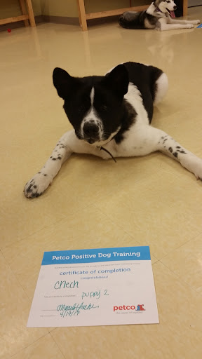 Pet Supply Store «Petco Animal Supplies», reviews and photos, 8551 S Howell Ave, Oak Creek, WI 53154, USA