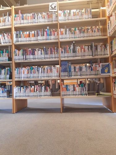 Bibliotheek Berlare - Gent