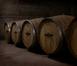 Vinos Santo Domingo photo