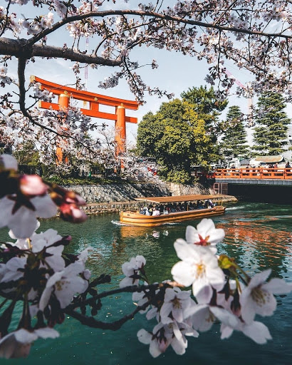 Travel Agency «Cruise & Travel Masters», reviews and photos, 4376 S 700 E #200, Murray, UT 84107, USA