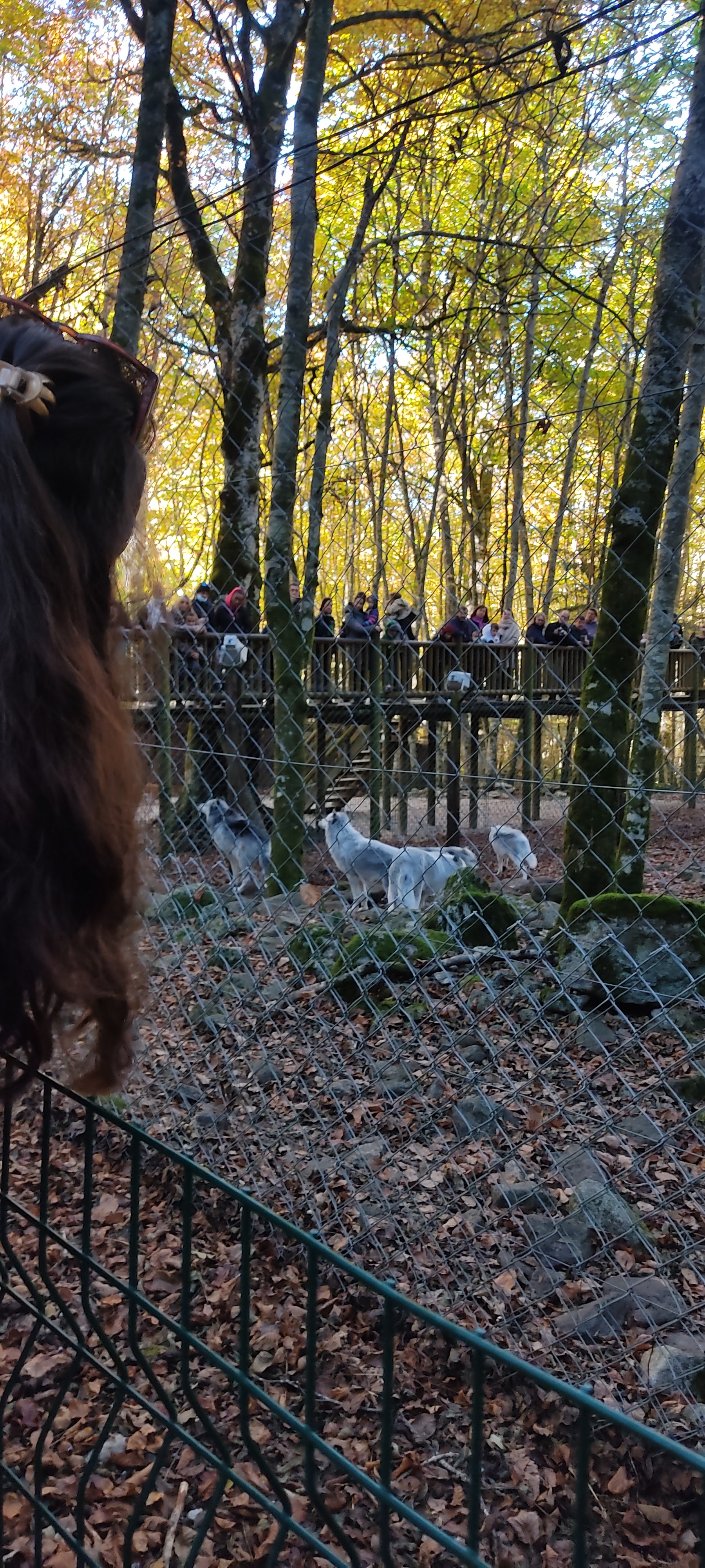 Photo n° 2 de l'avis de Galache.a fait le 27/10/2021 à 15:35