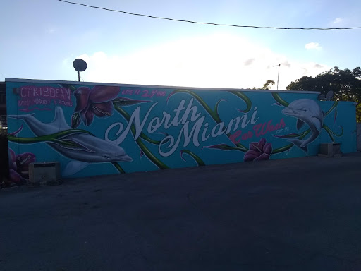 Car Wash «Car Wash Emporium», reviews and photos, 13820 W Dixie Hwy, North Miami, FL 33161, USA