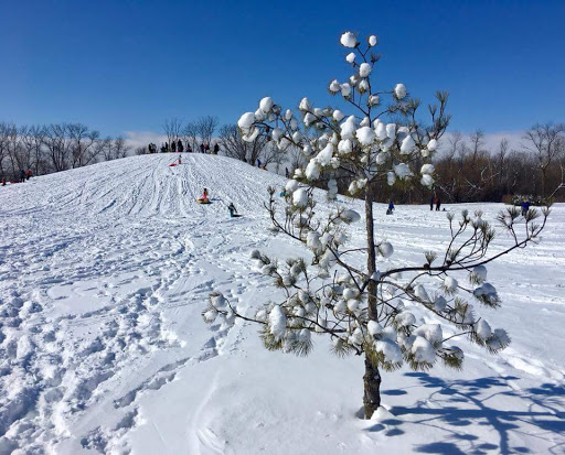 Mosque «Medina Community Center», reviews and photos, 3200 Mill St, Hamel, MN 55340, USA