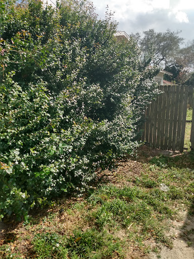 Real Estate Agency «Keller Williams Realty - Winter Haven», reviews and photos, 407 1st St S, Winter Haven, FL 33880, USA