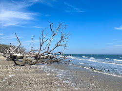 Photo de Driftwood beach avec rivage droit, long