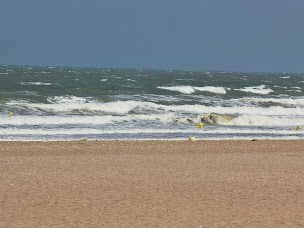 Photo n°49 de L'Escapade Merville-Franceville Plage à Merville-Franceville-Plage ()