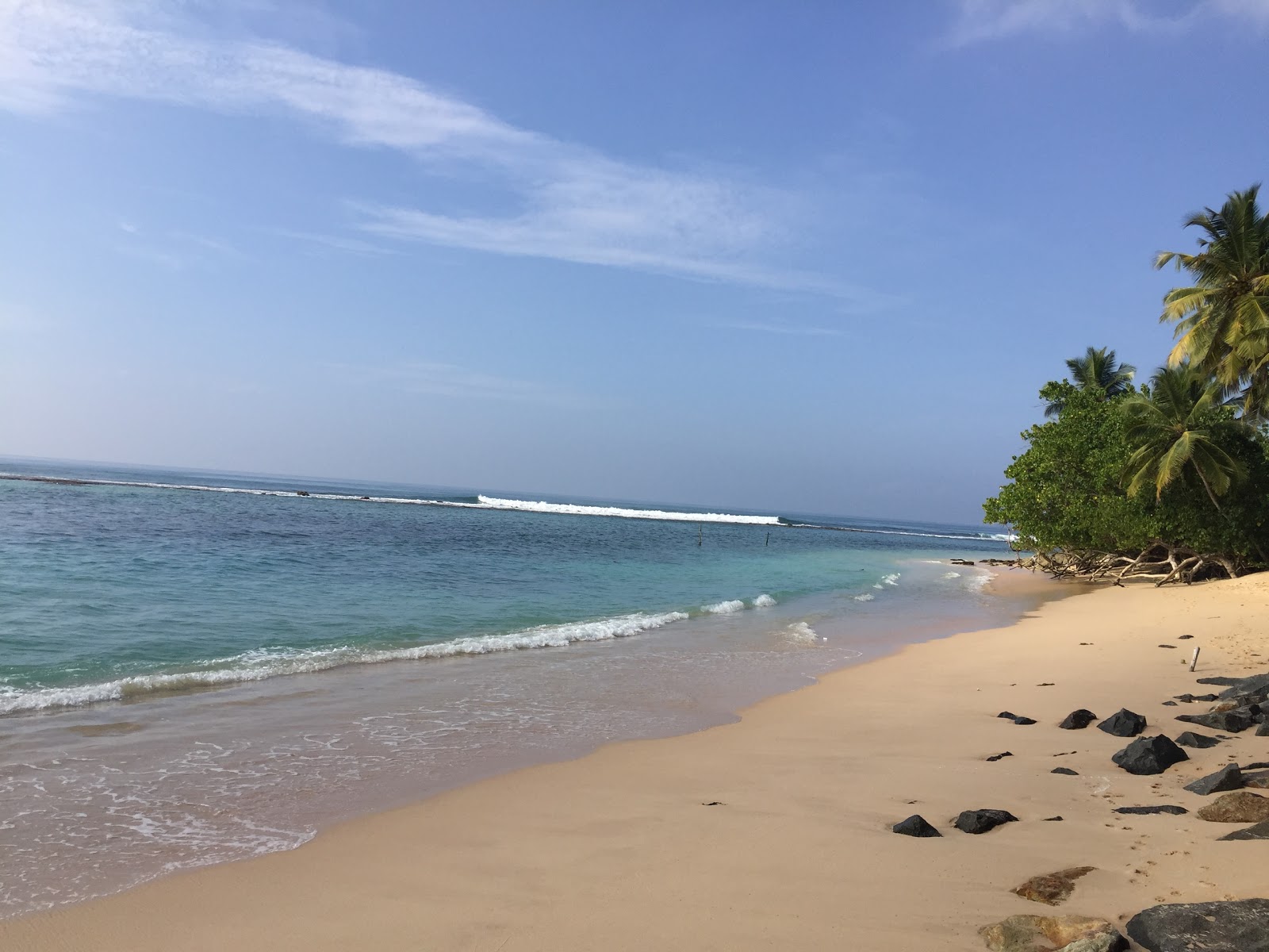 Foto di Vine Beach con una superficie del sabbia luminosa