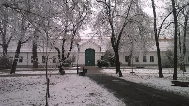 Opinii despre Tüköry Lajos Általános Iskola és Alapfokú Művészeti Oktatású Intézmény în Körösladány - Iskola