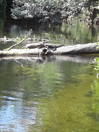 Cafe «Hillsborough State Park Poolside Cafe», reviews and photos, 15402 U.S. 301, Thonotosassa, FL 33592, USA