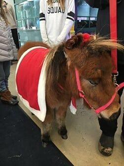 Pet Supply Store «Atlas Pet Supply», reviews and photos, 12761 Central Ave NE, Blaine, MN 55434, USA