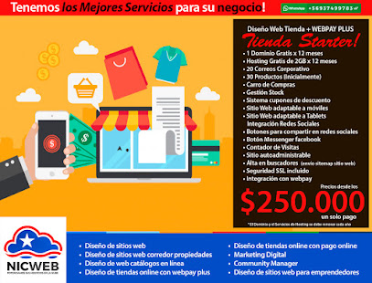 NICWEB.cl Diseño Web Profesional y Marketing Digital
