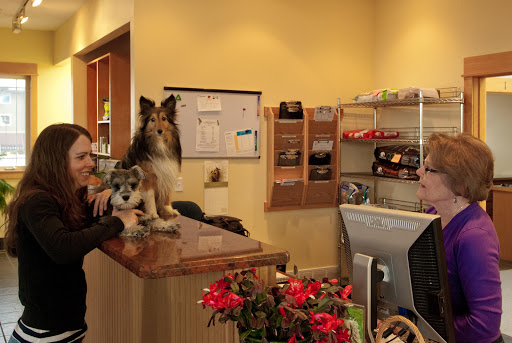 Cottonwood Veterinary Hospital image
