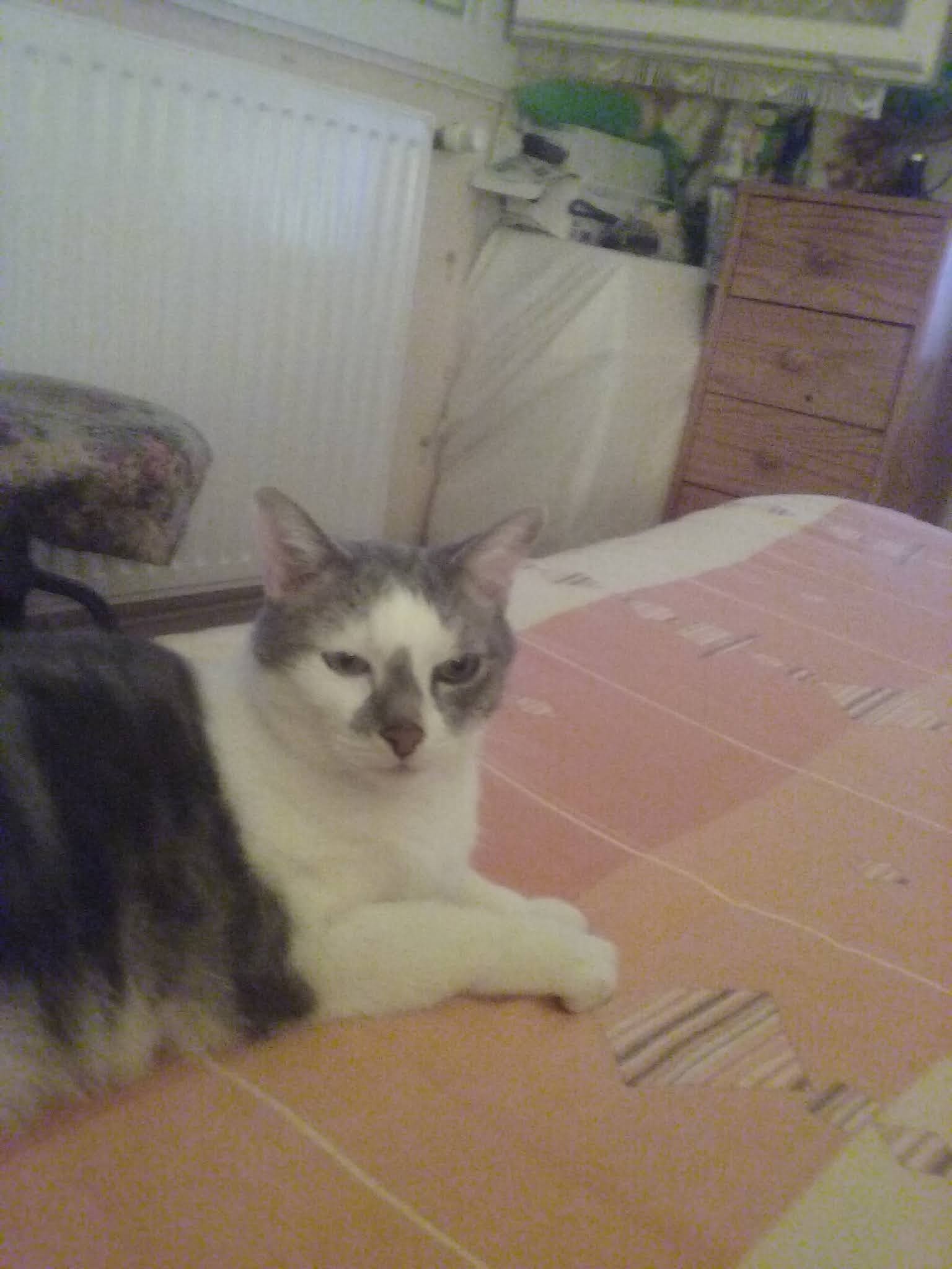 Photo n° 1 de l'avis de Yvan.a fait le 24/04/2021 à 22:29
