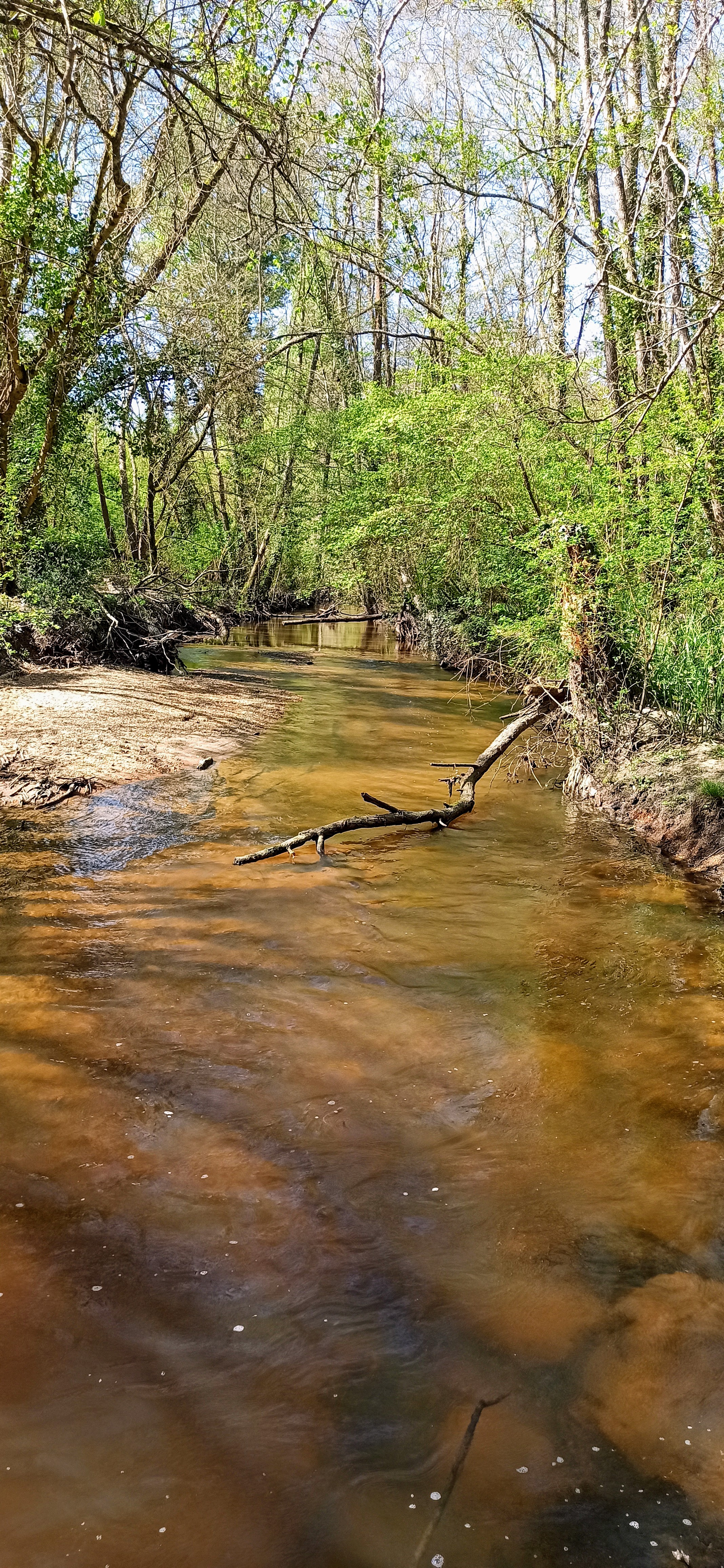 Photo n° 6 de l'avis de Sylvia.U fait le 05/04/2021 à 18:27