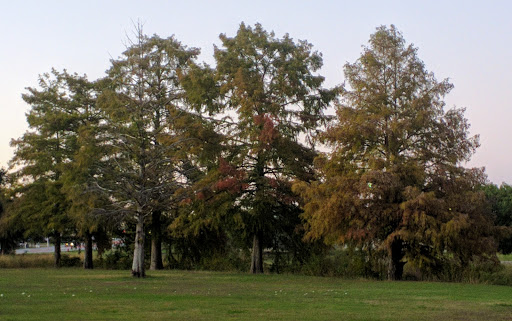 Park «Jennifer McFalls Park», reviews and photos, 1501 S Carrier Pkwy, Grand Prairie, TX 75051, USA