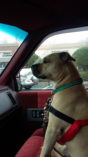 Pet Supply Store «Petco Animal Supplies», reviews and photos, 1243 N Peachtree Pkwy, Peachtree City, GA 30269, USA