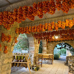 Photo n°26 de l'avis de Pietro.o fait le 04/09/2020 à 10:02 sur le  Le Stanzie à Supersano