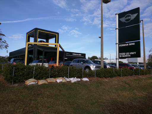 Car Dealer «Ferman MINI of Tampa Bay», reviews and photos, 31320 US-19, Palm Harbor, FL 34684, USA