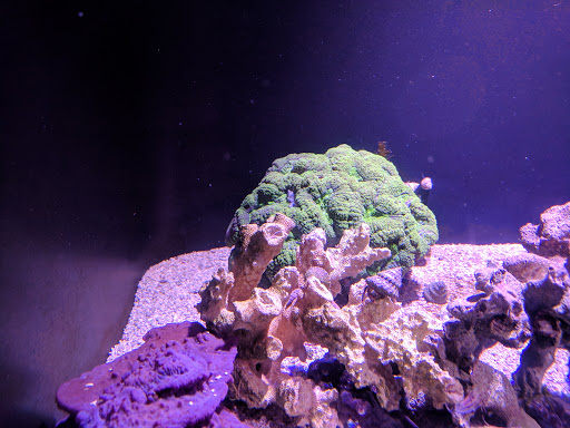 Country Club «Sahalee Country Club», reviews and photos, 21200 NE Sahalee Country Club Dr, Sammamish, WA 98074, USA