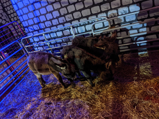 Haunted House «Land of Illusion Haunted Houses», reviews and photos, 8762 Thomas Rd, Middletown, OH 45042, USA