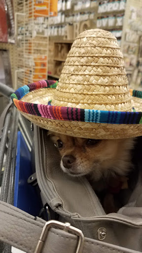 Craft Store «Hobby Lobby», reviews and photos, 6803 S 27th St, Franklin, WI 53132, USA