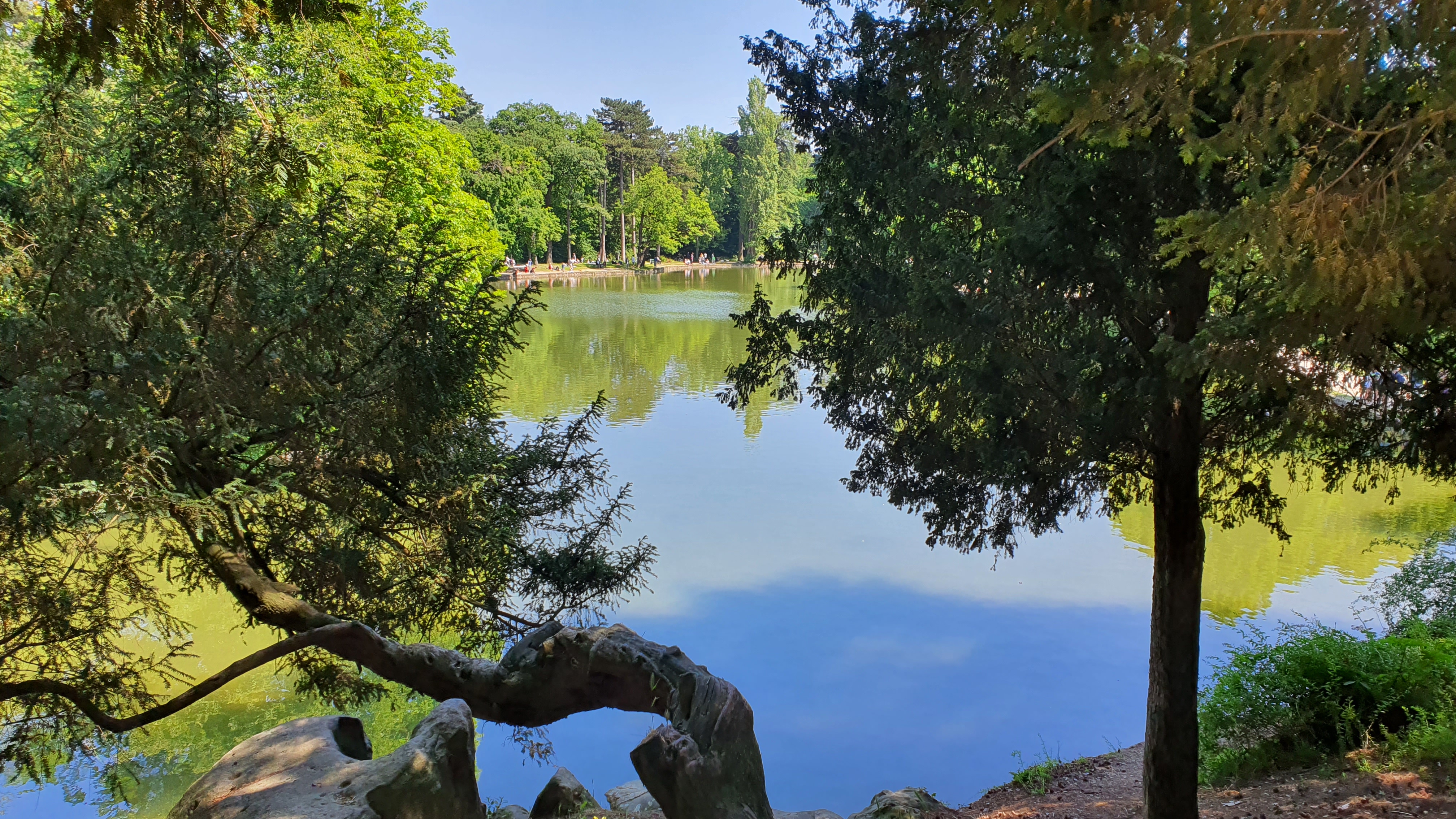 Photo n° 7 de l'avis de Frédérick.m fait le 09/06/2020 à 18:55