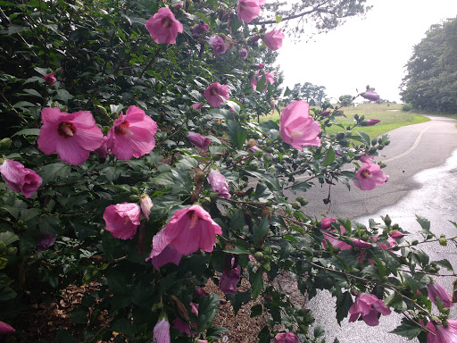 Park «Little Mulberry Park», reviews and photos, 3855 Hog Mountain Rd, Hoschton, GA 30548, USA