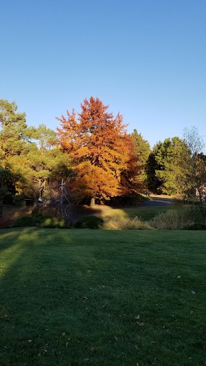 Sunnyside Park - photo 55
