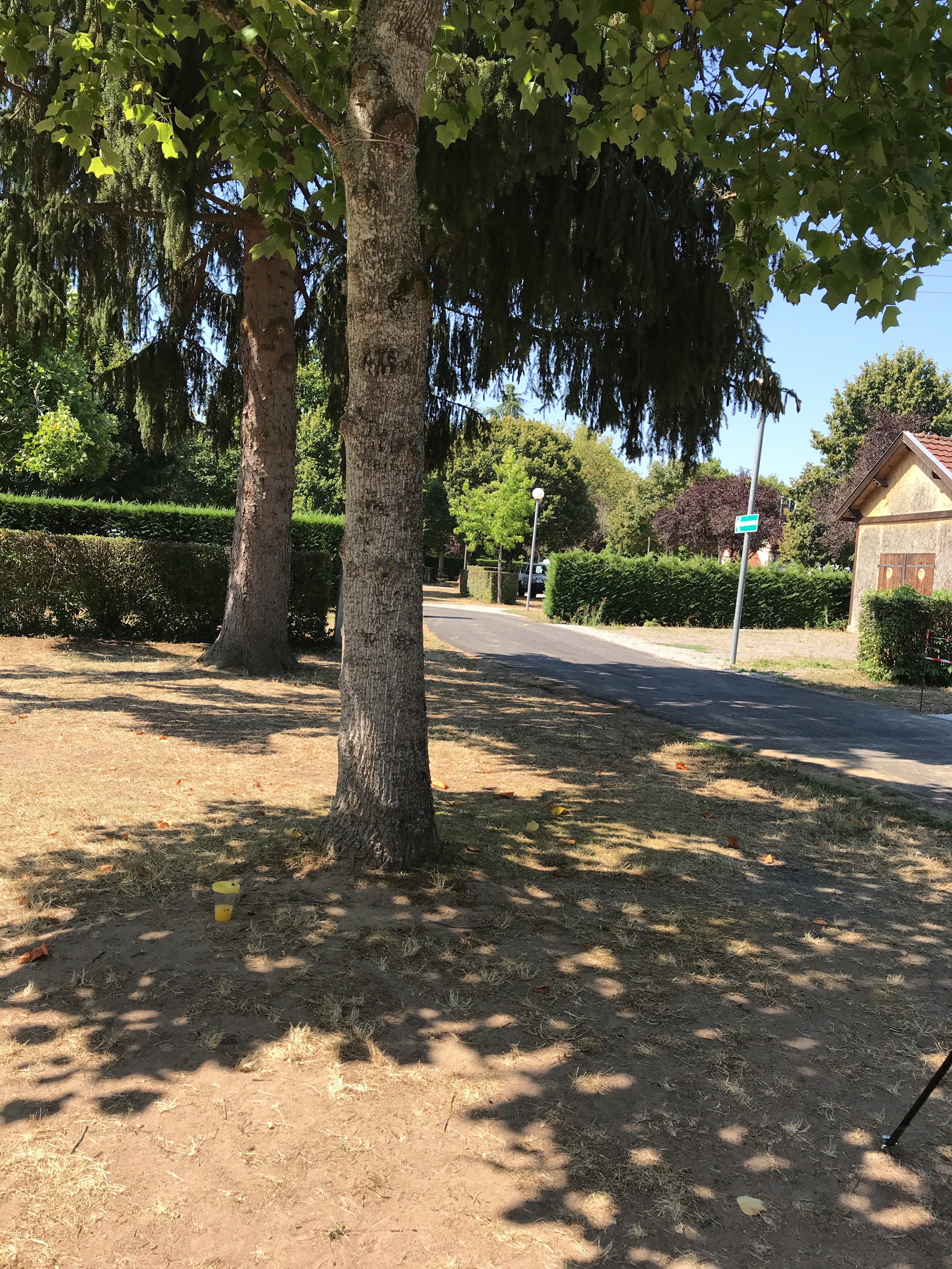Photo n° 1 de l'avis de Djuna. fait le 03/08/2018 à 10:04