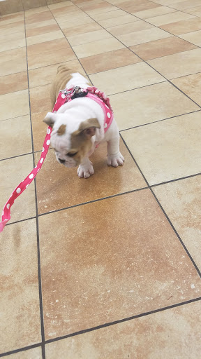 Pet Supply Store «PetSmart», reviews and photos, 8660 Airline Hwy, Baton Rouge, LA 70815, USA