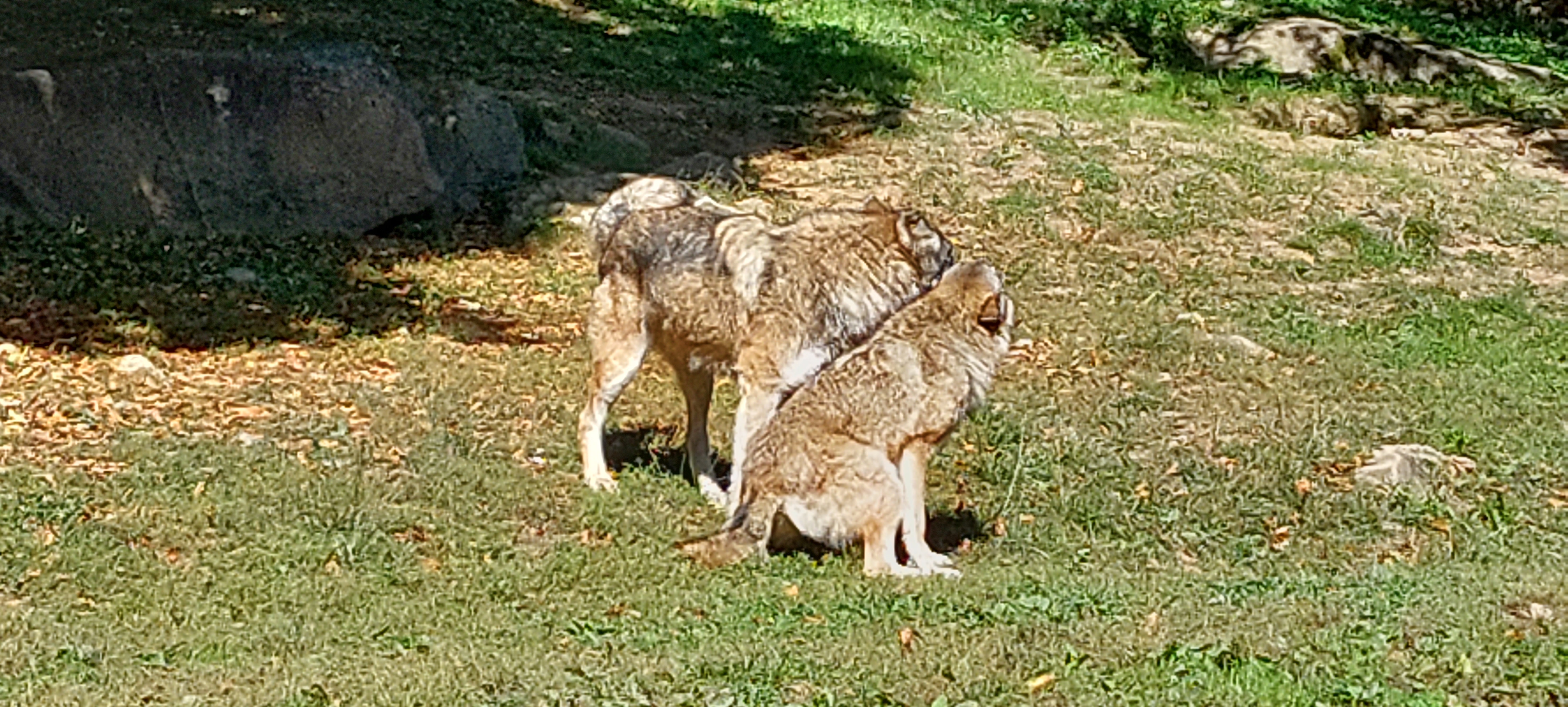 Photo n° 7 de l'avis de nathalie.E fait le 08/10/2023 à 08:49