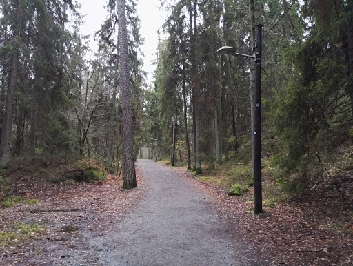 The Älvsjö Forest Nature Preserve