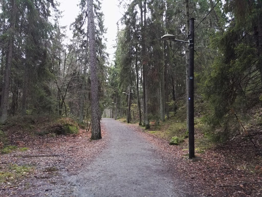 Älvsjöskogens naturreservat