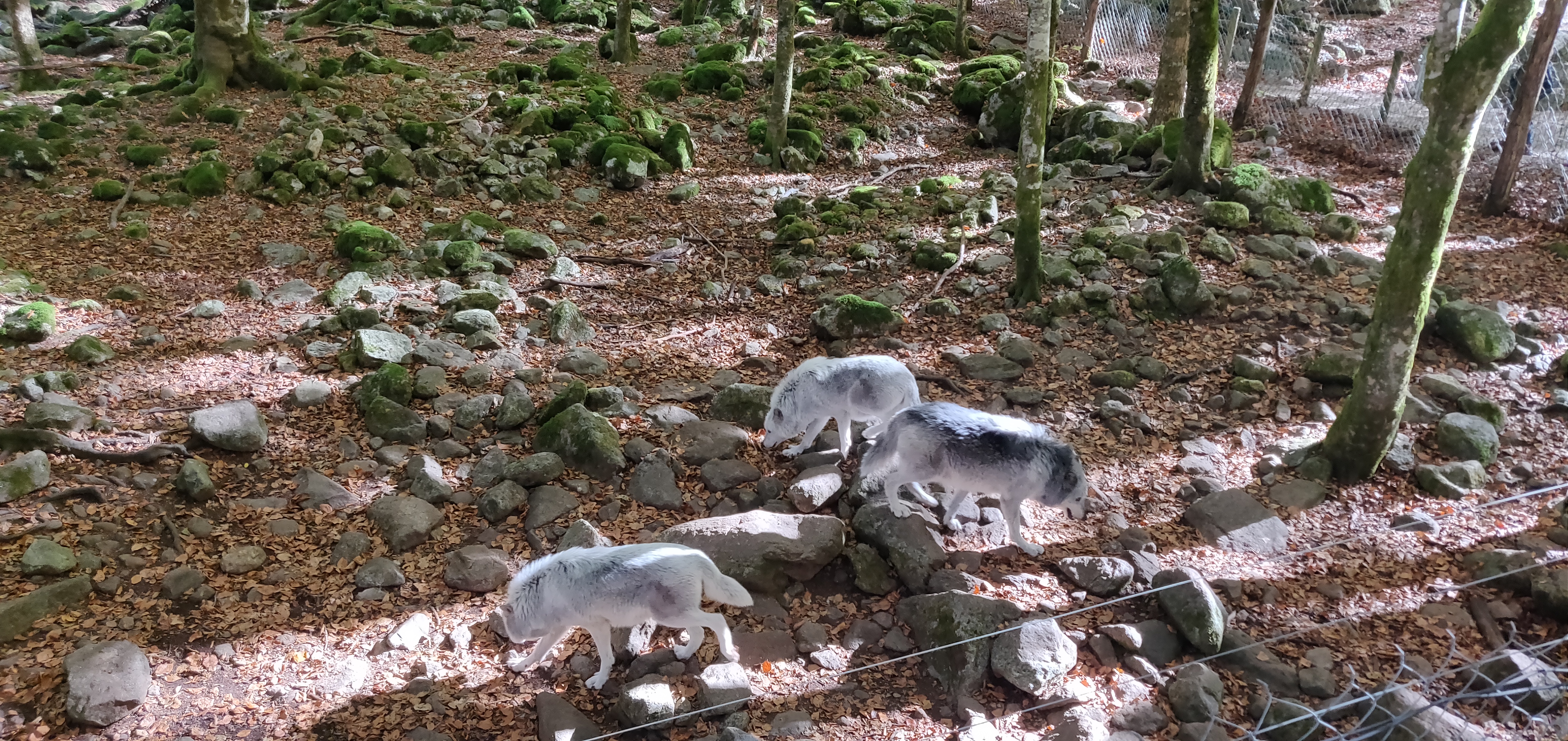 Photo n° 11 de l'avis de Arti.l fait le 29/10/2021 à 16:50