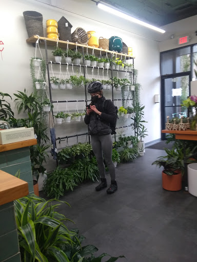 Florist «Englewood Florist, Inc.», reviews and photos, 47 E Palisade Ave, Englewood, NJ 07631, USA