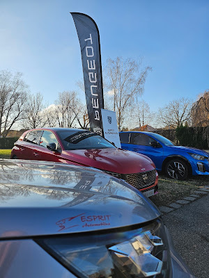Esprit automobiles : Réparation, Entretien & Vente de Voitures à Volgelsheim