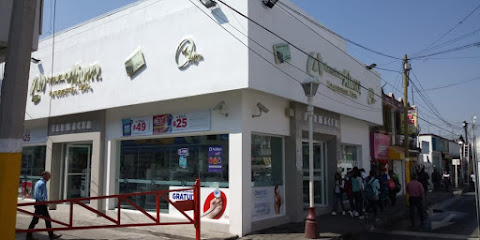 Farmacia Del Ahorro, , Texcoco De Mora