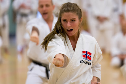 Bjørgvin karateklubb