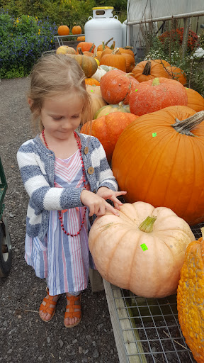 Produce Market «Sunscape Farms», reviews and photos, 1420 Creek St, Rochester, NY 14625, USA