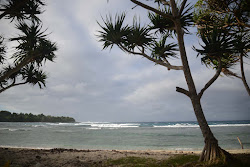 Honemoon Beach photo #6