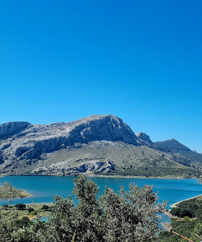 Reservoir - Cúber - Alaior