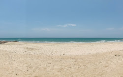 Forest Beach'in fotoğrafı çok temiz temizlik seviyesi ile