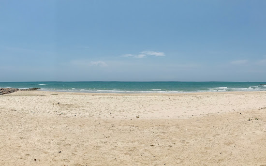 Forest Beach