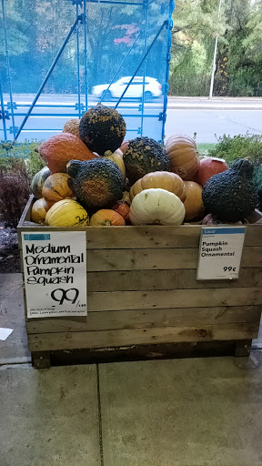 Grocery Store «Whole Foods Market», reviews and photos, Whole Foods Market, 110 Bloomingdale Rd, White Plains, NY 10605, USA