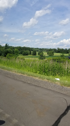 Golf Club «Chippewa Golf Club», reviews and photos, 12147 Shank Rd, Doylestown, OH 44230, USA